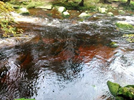 Řeka Vydra 7 - Barva vody